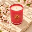 Mahonie Cherry Blossom Candle, elevated view on pale natural stone.