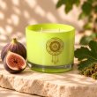 Mahonie Fig & Moss Candle, three-quarter view on pale natural stone.