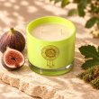 Mahonie Fig & Moss Candle, elevated view on pale natural stone.
