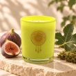 Mahonie Fig & Moss Candle, yellow-green glass, on pale natural stone.