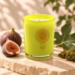 Mahonie Fig & Moss Candle, three-quarter view on pale natural stone.