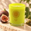 Mahonie Fig & Moss Candle, closer view of its original materials and surface details.