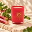 Mahonie Fresh Rhubarb Candle, three-quarter view on pale natural stone.