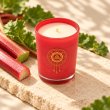 Mahonie Fresh Rhubarb Candle, elevated view on pale natural stone.