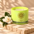 Mahonie Gardenia Candle, three-quarter view on pale natural stone.