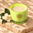 Mahonie Gardenia Candle, elevated view on pale natural stone.