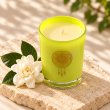 Mahonie Gardenia Candle, elevated view on pale natural stone.