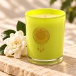 Mahonie Gardenia Candle, closer view of its original materials and surface details.