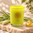Mahonie Lemon Grass & Citruswood Candle, three-quarter view on pale natural stone.