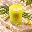 Mahonie Lemon Grass & Citruswood Candle, elevated view on pale natural stone.