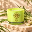 Mahonie Lemongrass Candle, yellow-green glass, on pale natural stone.