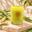 Mahonie Lemongrass Candle, three-quarter view on pale natural stone.
