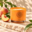 Mahonie Peach Candle, three-quarter view on pale natural stone.