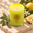 Mahonie Sage & Citrus Candle, elevated view on pale natural stone.