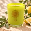 Mahonie Sage & Citrus Candle, closer view of its original materials and surface details.