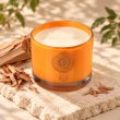 Mahonie Sandalwood Candle, elevated view on pale natural stone.