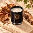 Mahonie Tobacco & Oakwood Candle, elevated view on pale natural stone.