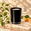 Mahonie Yan Single Wicked Candle - Nerolie, three-quarter view on pale natural stone.