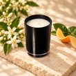 Mahonie Yan Single Wicked Candle - Nerolie, elevated view on pale natural stone.
