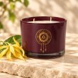 Mahonie Ylang-Ylang Candle, burgundy glass, on pale natural stone.