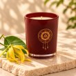 Mahonie Ylang-Ylang Candle, three-quarter view on pale natural stone.