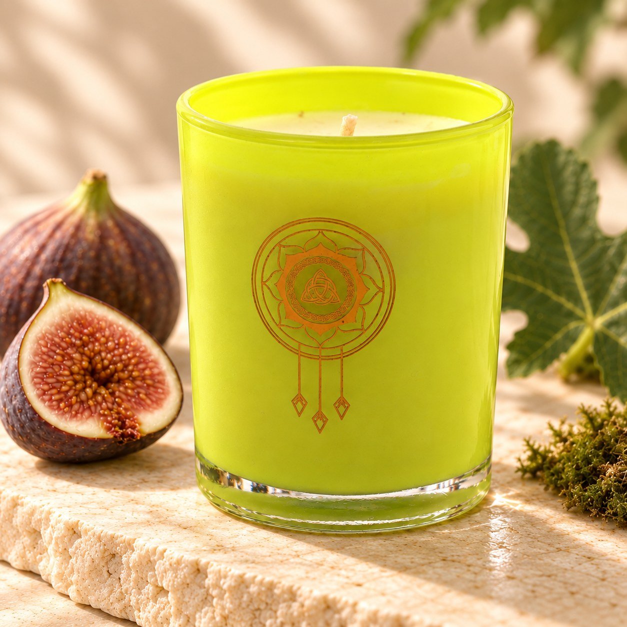 A closer view of Fig & Moss Candle