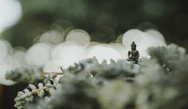 Scent and Meditation