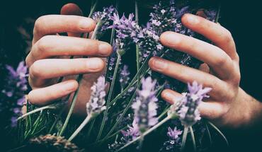Choosing Home Fragrance